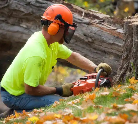 tree services Ridgeway